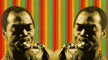 Fela Kuti GIF by Partisan Records