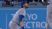 Help Me Up Chicago Cubs GIF