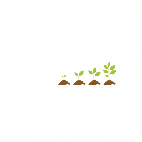 VelletazGroupe giphyupload wine plant vine GIF