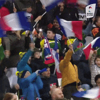 Womens6Nations fan fans womens six nations GIF