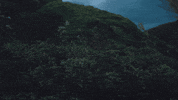Country Music Smile GIF by Kacey Musgraves