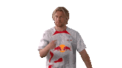 Emil Forsberg Football Sticker by RB Leipzig