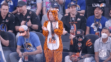 Super Bowl Football GIF by NFL