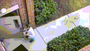 doctor coyote GIF