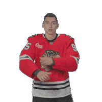 Mikheyev Sticker by NHLBlackhawks