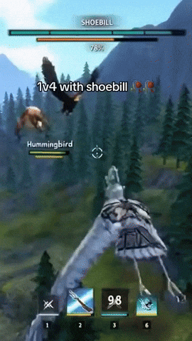 Humming Bird Instagram GIF