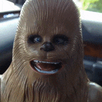 GIF by Brittlestar