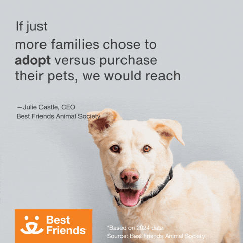 Adopt Best Friends GIF by Best Friends Animal Society
