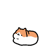 Happy Cat Sticker by FATZOO
