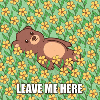 Happy Teddy Bear GIF by BEARISH