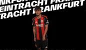 Lets Go Goal GIF by Eintracht Frankfurt