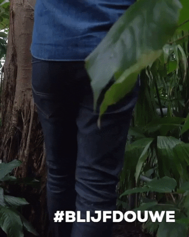 Amsterdenim giphygifmaker amsterdam sustainable jungle GIF
