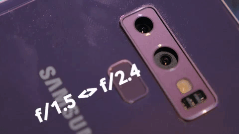 Animated GIF