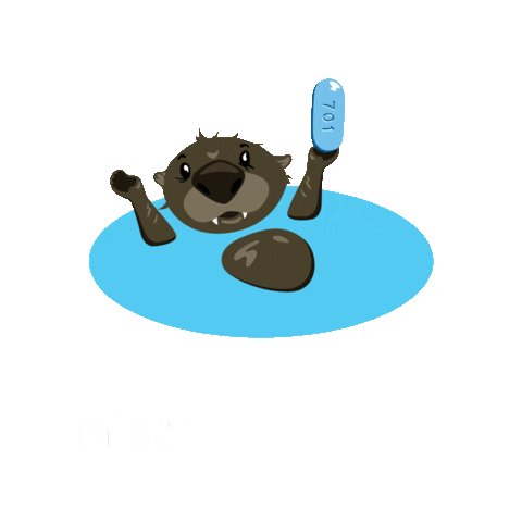 pflaumer524 giphyupload Sticker