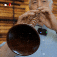 Instrument Melody GIF by TRT