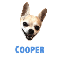 Dog King Sticker