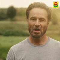 compo garden garten compo GIF