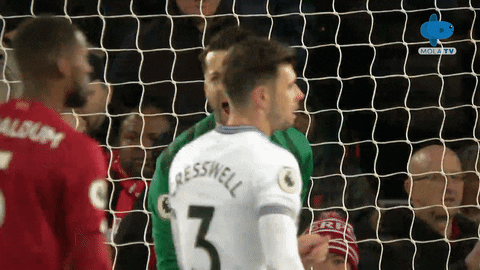 Celebration Reaction GIF by MolaTV