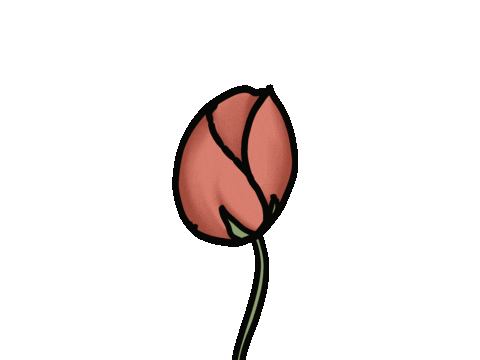 thedrawinghorse giphyupload flower pink flower Sticker