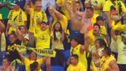Celebration Fans GIF by Club America