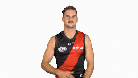 essendonfc giphyupload patrick dons bombers GIF
