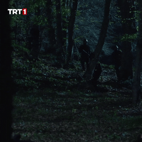 Soldier Danger GIF by TRT