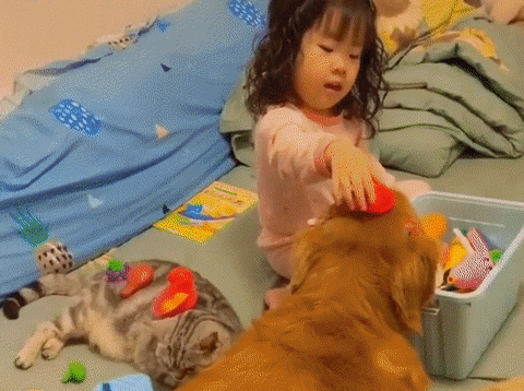 cuteanimalland giphyupload GIF