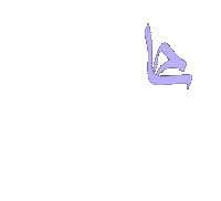 C Cam Sticker