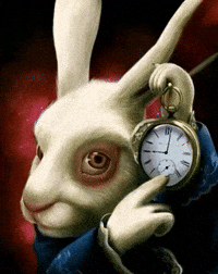 White Rabbit Its Only A Matter Of Time GIF