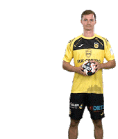 Sport Handball Sticker by HSC 2000 Coburg