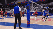 American Jump GIF by Volleyball World