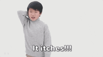 Snl GIF by Saturday Night Live