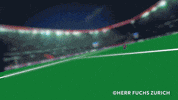 Paris Saint-Germain Football GIF by Herr Fuchs Zurich