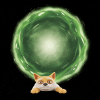 Rick And Morty Dog GIF by Doge Pound