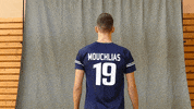 HellenicVolleyballFederation  GIF