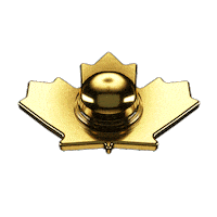 Celebrate Got Talent Sticker by Canada's Got Talent