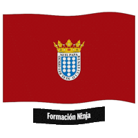 Castilla Y Leon Flag Sticker by Formación Ninja