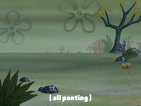 season 3 spongebob b.c. GIF by SpongeBob SquarePants