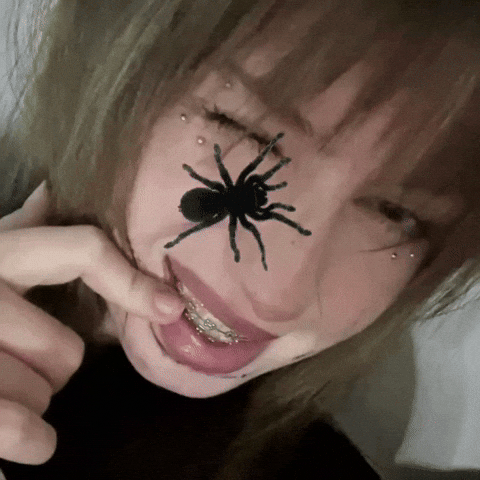 sommwl giphyattribution sommwl GIF