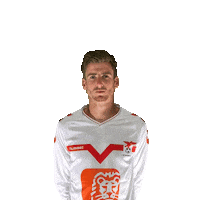 Vogels8 Nielsgoal Sticker by Valleivogels