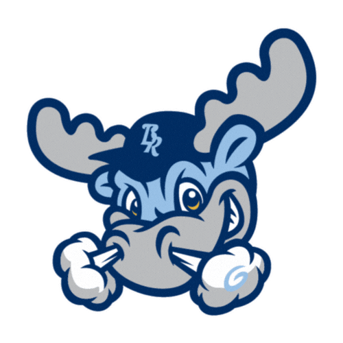 bluerocks giphyupload baseball wilmington blue rocks Sticker