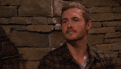 Abc Love GIF by The Bachelor