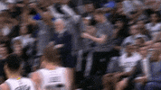 san antonio spurs bench reaction GIF by NBA