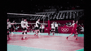 Happy Party GIF by Volleyball World