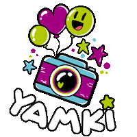 Fiesta Camara Sticker