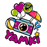 Camara Sticker