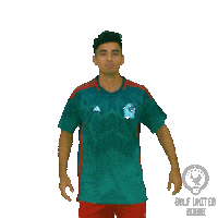 El Tri Football Sticker by Gulf United FC