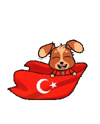Celebration Ataturk Sticker by Tiny Minies
