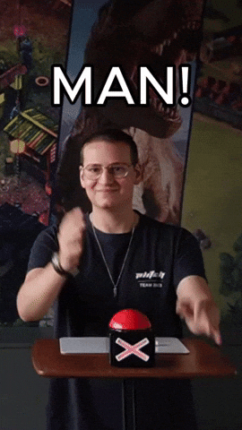 Schlion man schlion GIF