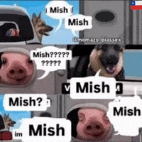 Chile Meme GIF